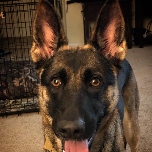 Meet your Posher, Lee - Picture 1 of 1